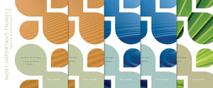 The Most Important Thing You'll Ever Study: A Survey of the Bible (Set),Used