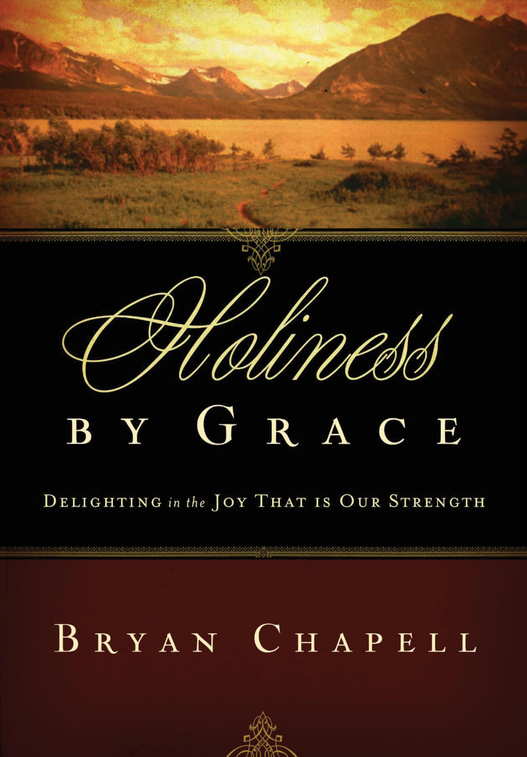 Holiness by Grace: Delighting in the Joy That Is Our Strength (Redesign),Used
