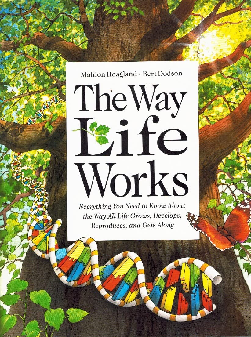 The Way Life Works,New