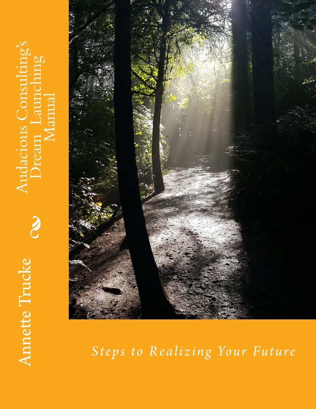 Audacious Consulting'S Dream Launching Manual,Used