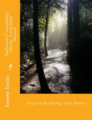Audacious Consulting'S Dream Launching Manual,Used