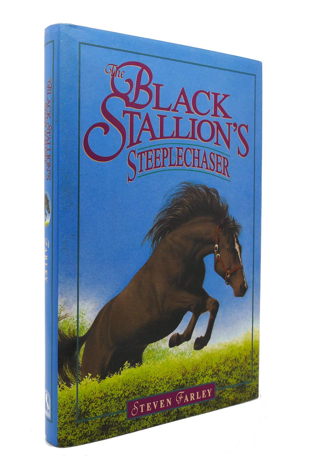 The Black Stallion's Steeplechaser,Used