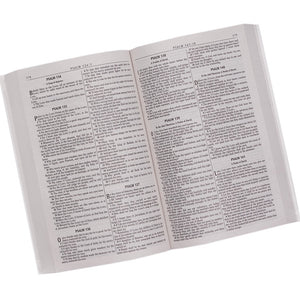 KJV Holy Bible, Outreach Bible  Softcover, King James Version, Antique Gold Olive Branch (KJV Outreach Editions),Used