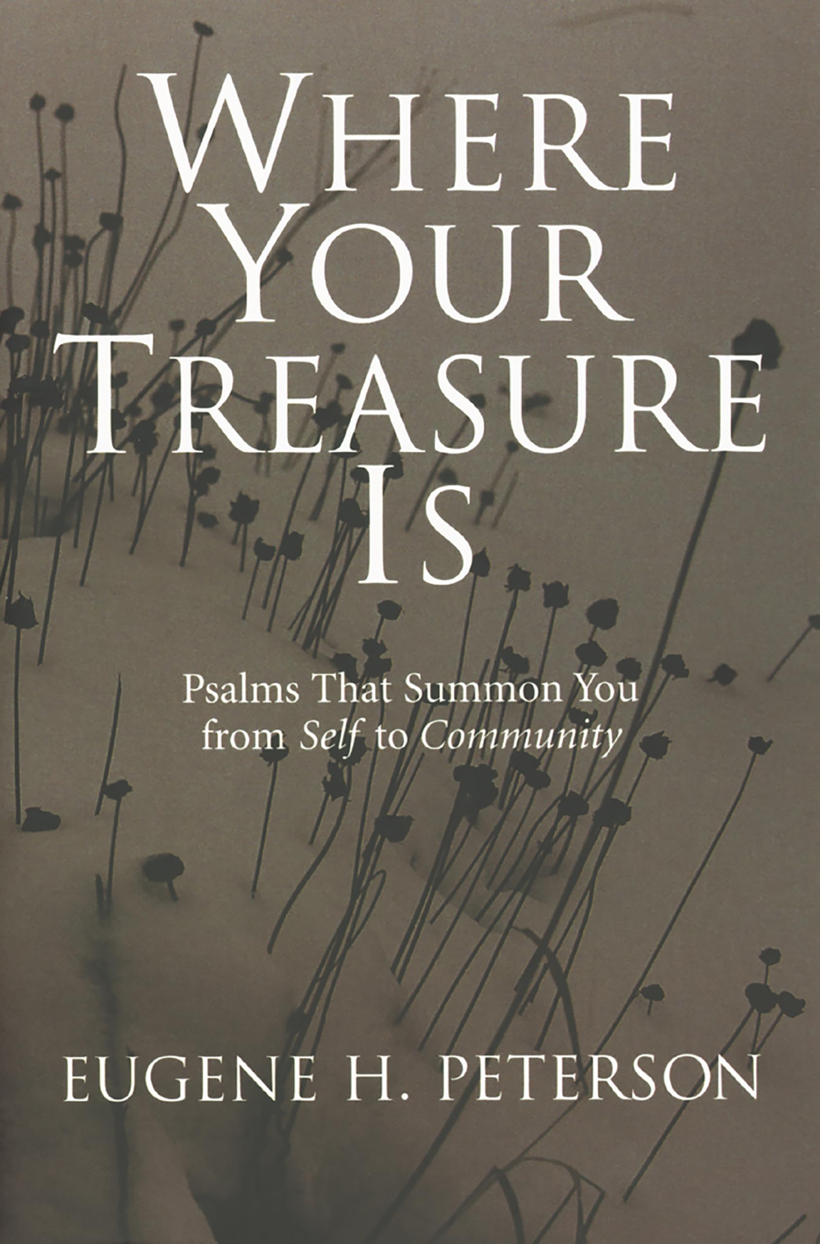 Where Your Treasure Is: Psalms that Summon You from Self to Community,Used