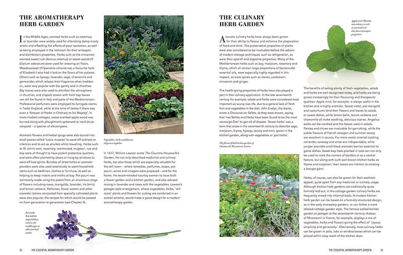 Essential Aromatherapy Garden: Growing and Using Scented Plants and Herbs,Used