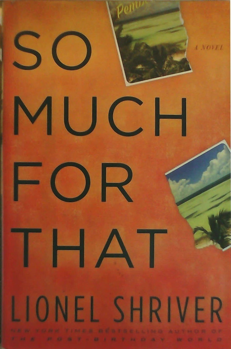 So Much for That: A Novel