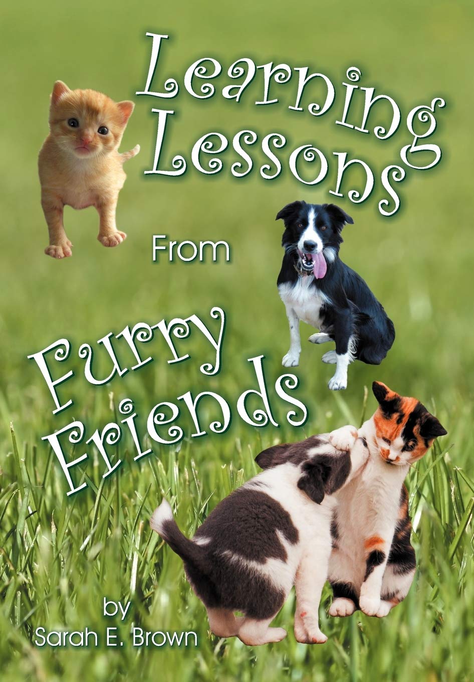 Learning Lessons From Furry Friends,Used