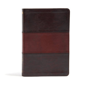 NIV Rainbow Study Bible, Saddle Brown LeatherTouch,Used
