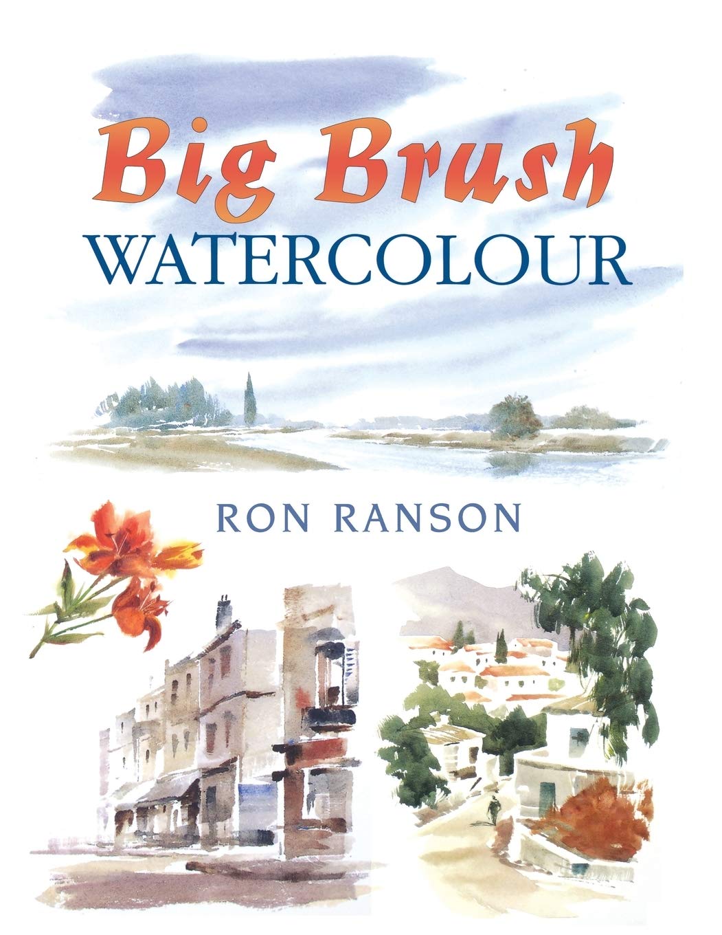 Big Brush Watercolor (David & Charles Techniques in Watercolour),Used