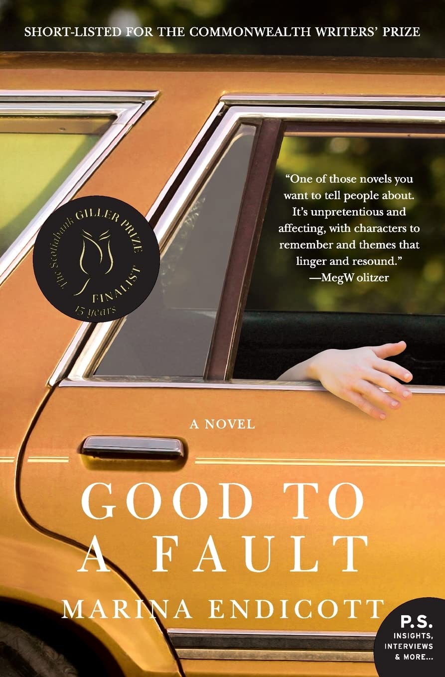 Good to a Fault: A Novel,Used