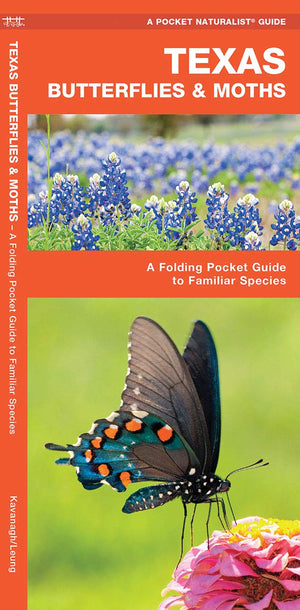 Texas Butterflies & Moths: A Folding Pocket Guide to Familiar Species (A Pocket Naturalist Guide),Used