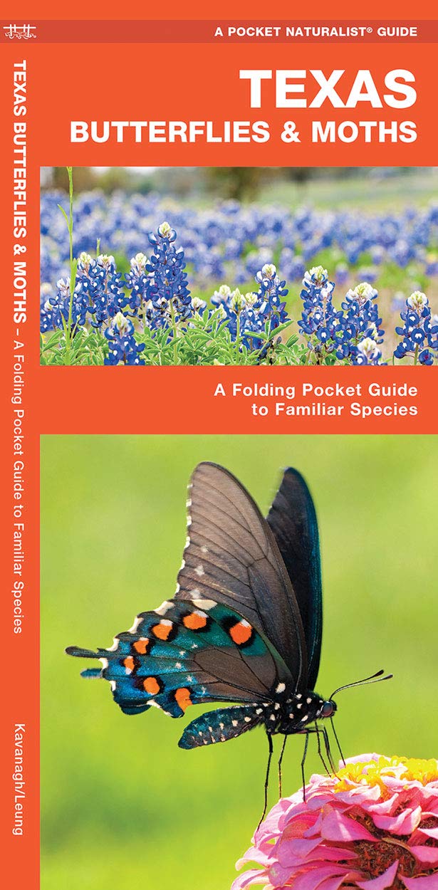 Texas Butterflies & Moths: A Folding Pocket Guide to Familiar Species (A Pocket Naturalist Guide),Used