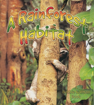 A Rainforest Habitat (Paperback) (Introducing Habitats),New