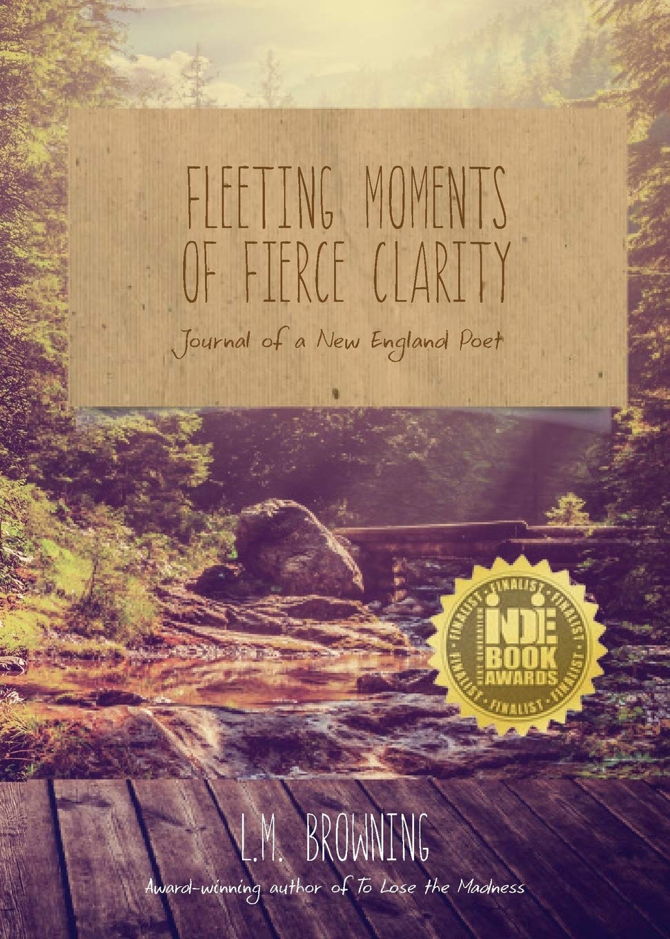 Fleeting Moments of Fierce Clarity: Journal of a New England Poet,Used