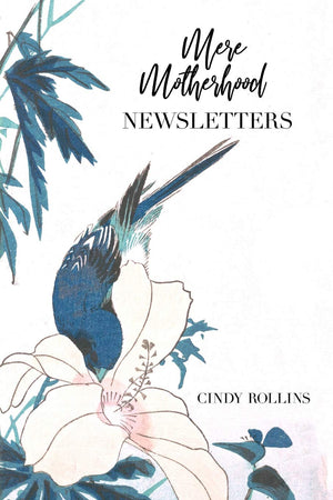 Mere Motherhood Newsletters,Used