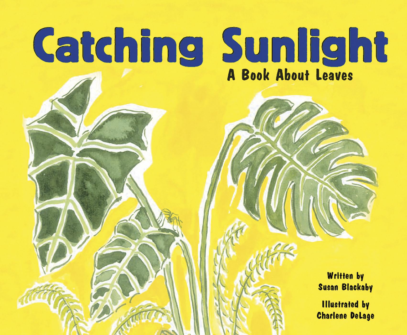 Catching Sunlight: A Book About Leaves (Growing Things),Used