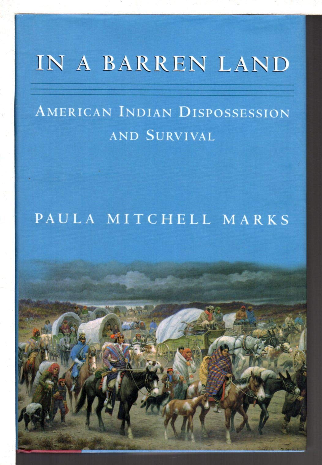 In a Barren Land: American Indian Dispossession And Survival,Used