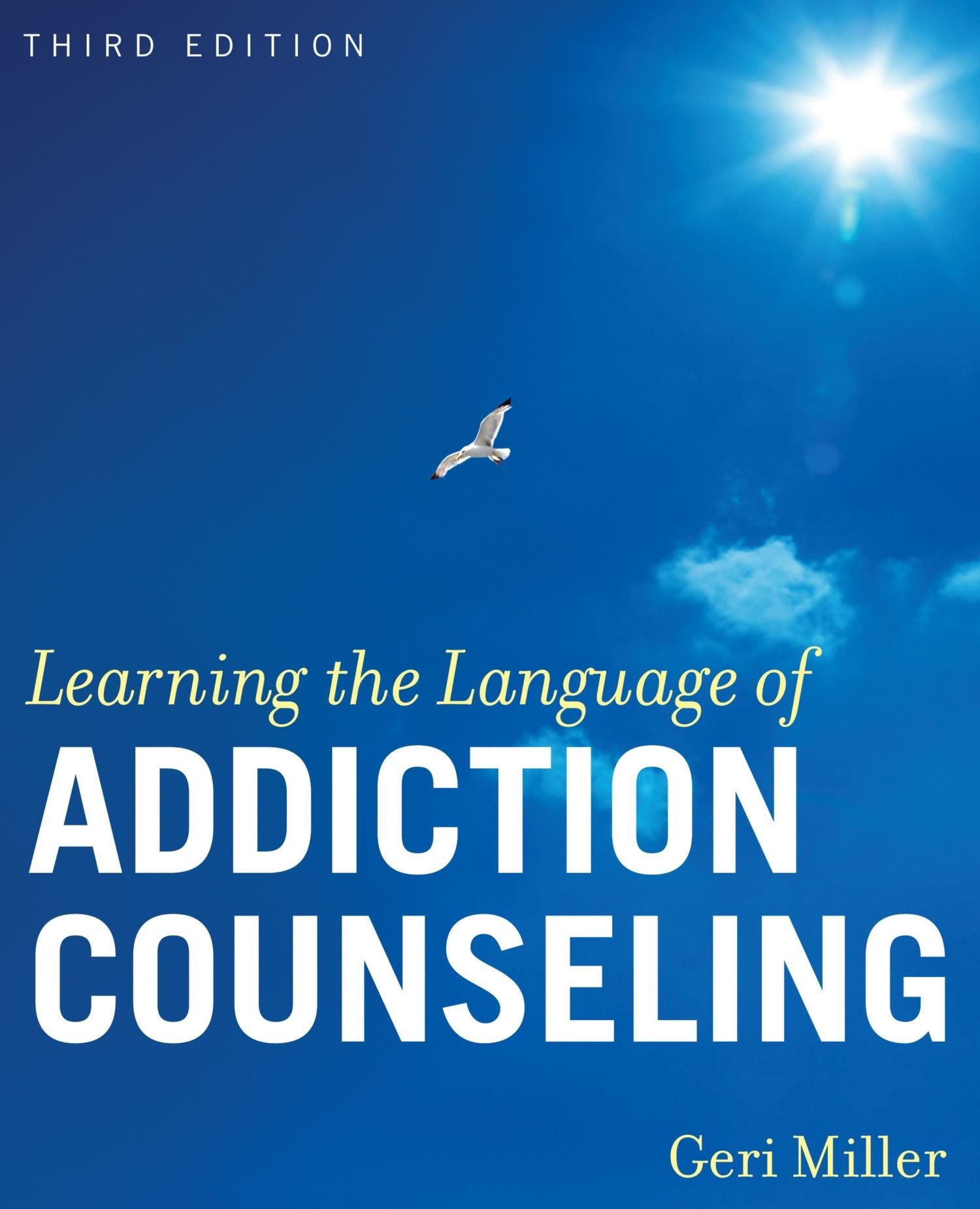 Learning The Language Of Addiction Counseling