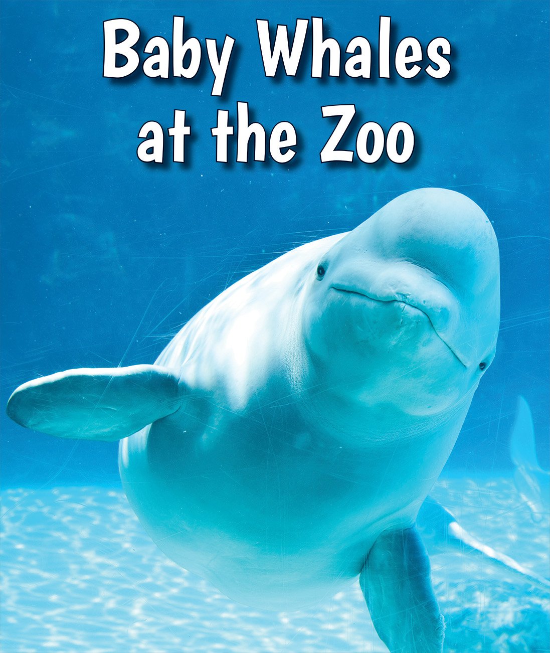 Baby Whales at the Zoo (All About Baby Zoo Animals),Used