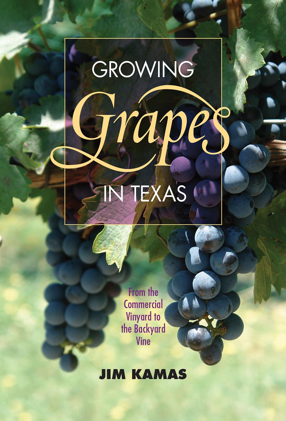 Growing Grapes in Texas: From the Commercial Vineyard to the Backyard Vine (Texas A&M AgriLife Research and Extension Service Se,Used