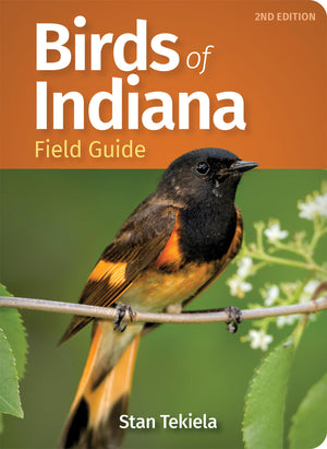 Birds of Indiana Field Guide (Bird Identification Guides),Used