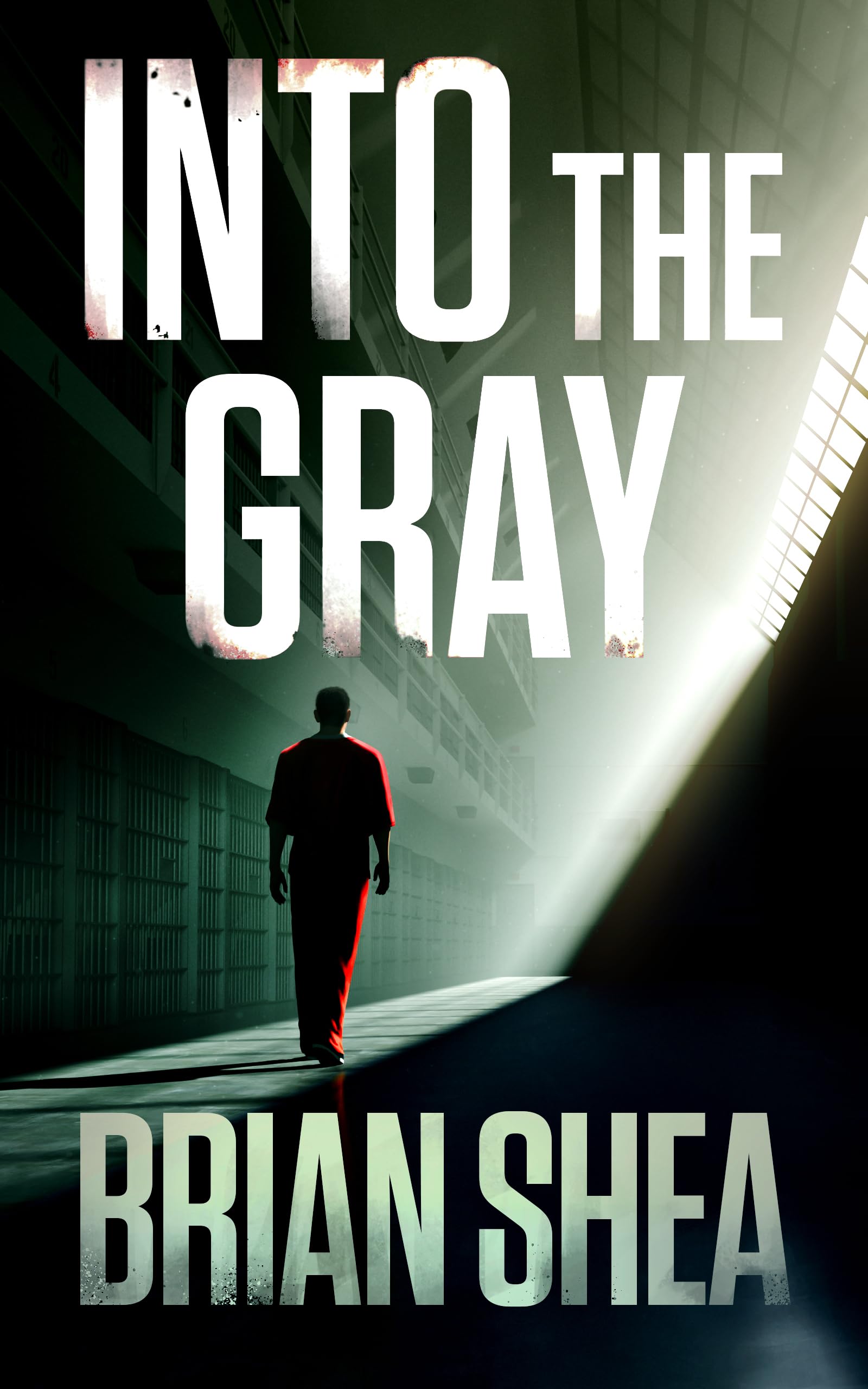Into the Gray (Boston Crime Thrillers, 6),New
