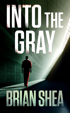 Into the Gray (Boston Crime Thrillers, 6),New