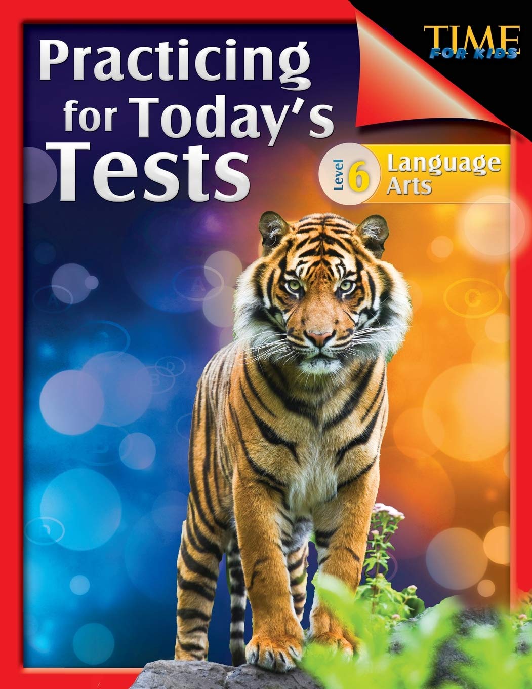TIME For Kids: Practicing for Today's Tests Language Arts Level 6,Used