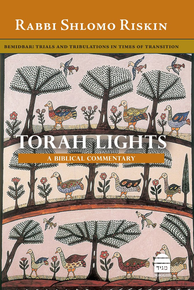 Torah Lights: Bemidbar: Trials and Tribulations in Times of Transition,Used