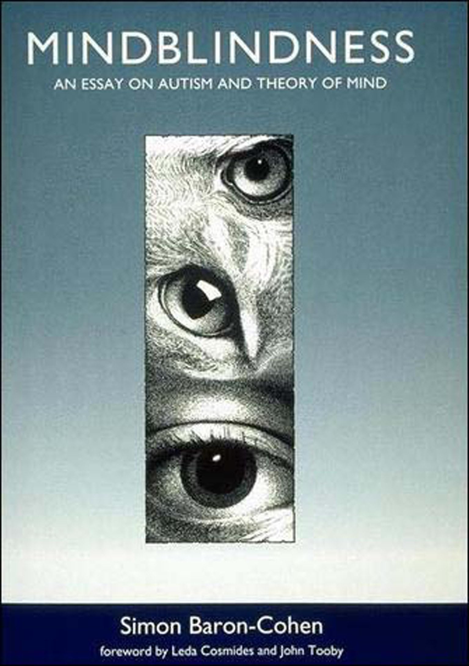 Mindblindness: An Essay On Autism And Theory Of Mind,New