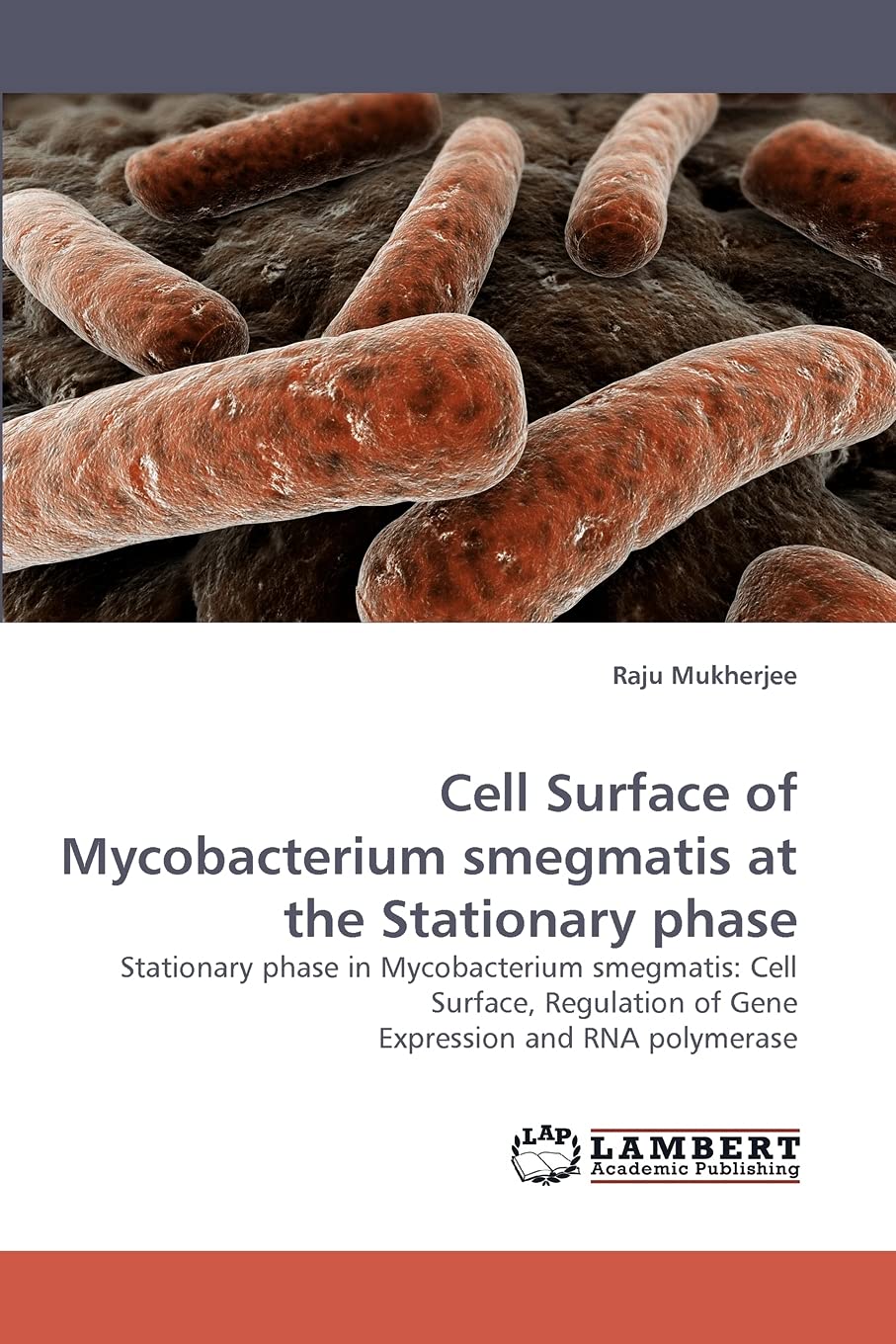 Cell Surface of Mycobacterium smegmatis at the Stationary phase: Stationary phase in Mycobacterium smegmatis: Cell Surface, Regu,Used