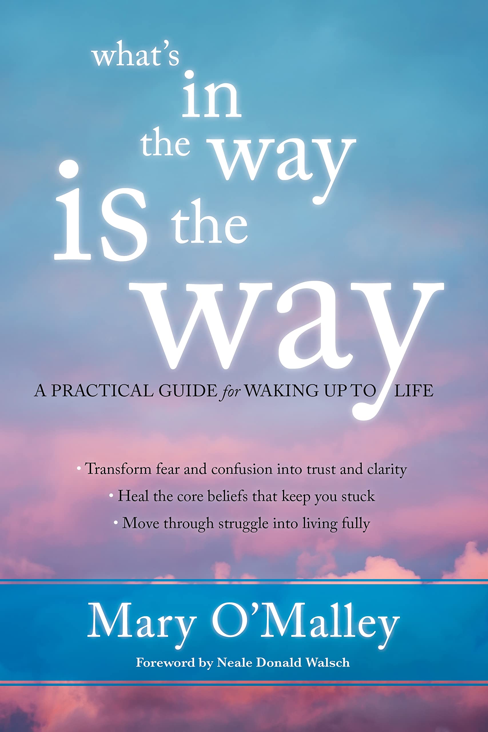 What'S In The Way Is The Way: A Practical Guide For Waking Up To Life