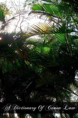 A Dictionary Of Canon Law,New