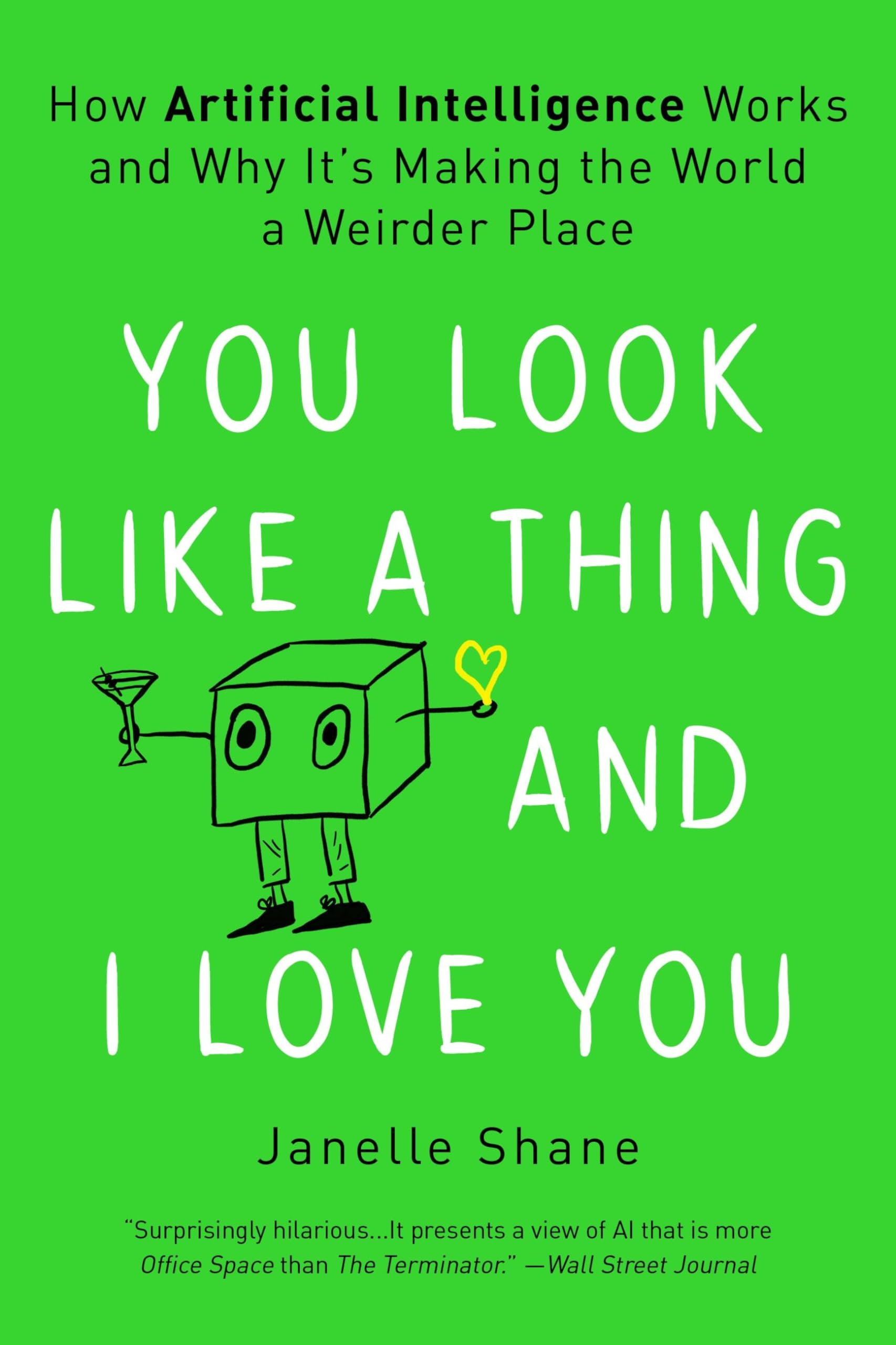 You Look Like a Thing and I Love You: How Artificial Intelligence Works and Why It s Making the World a Weirder Place