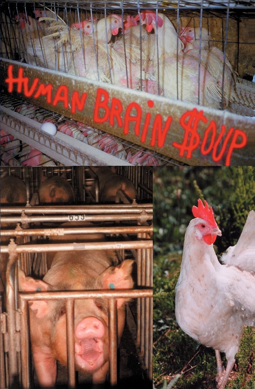 Human Brain Soup,Used