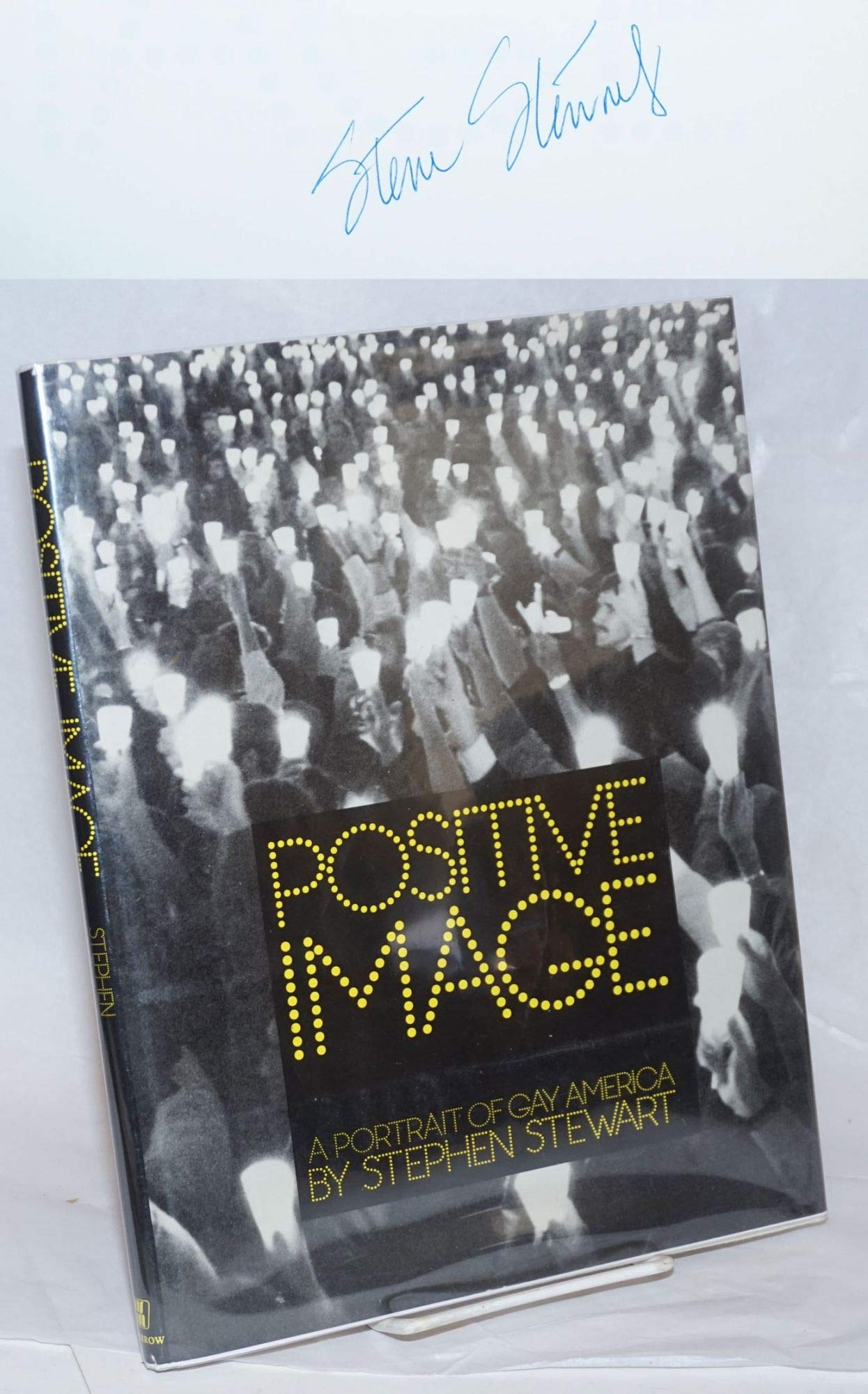 Positive Image: A Portrait of Gay America,Used