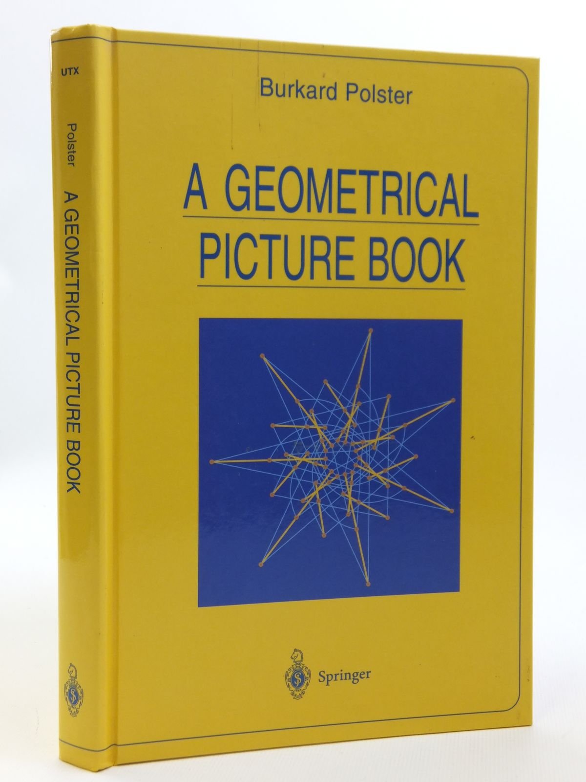A Geometrical Picture Book (Universitext),Used