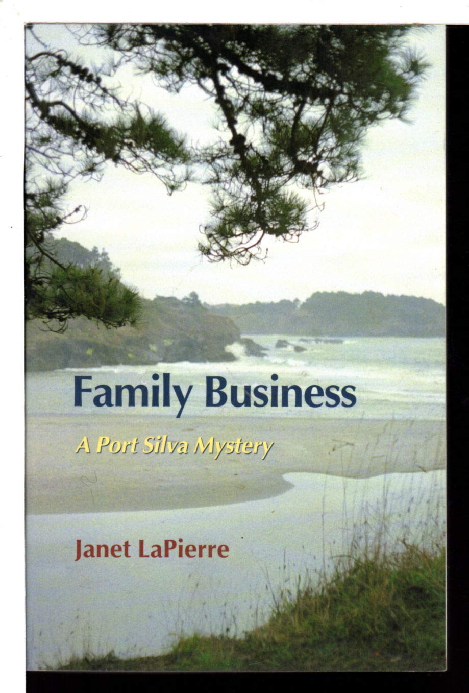 Family Business (Port Silva Mysteries, No. 9),Used