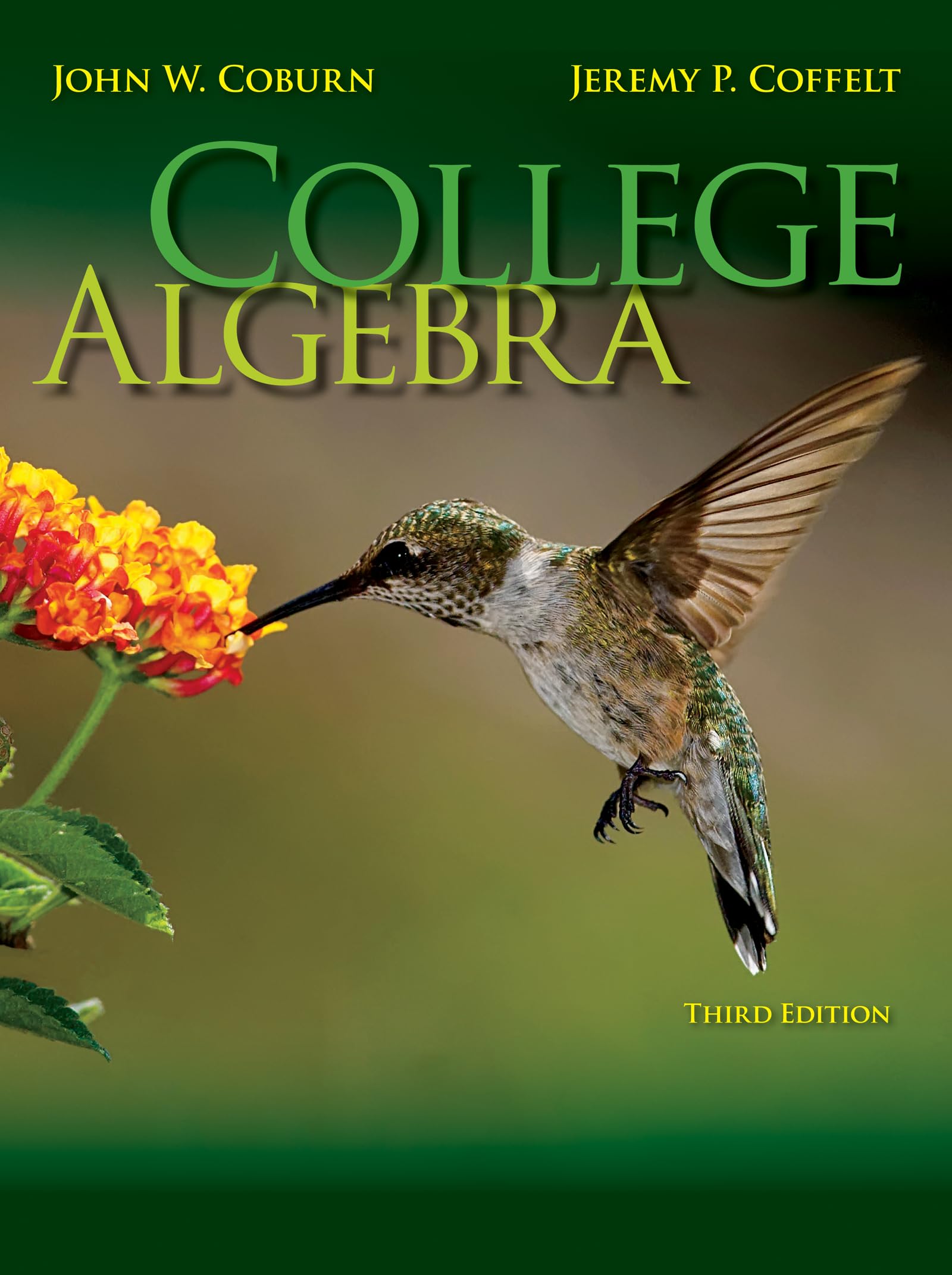 Loose Leaf Version for College Algebra,Used