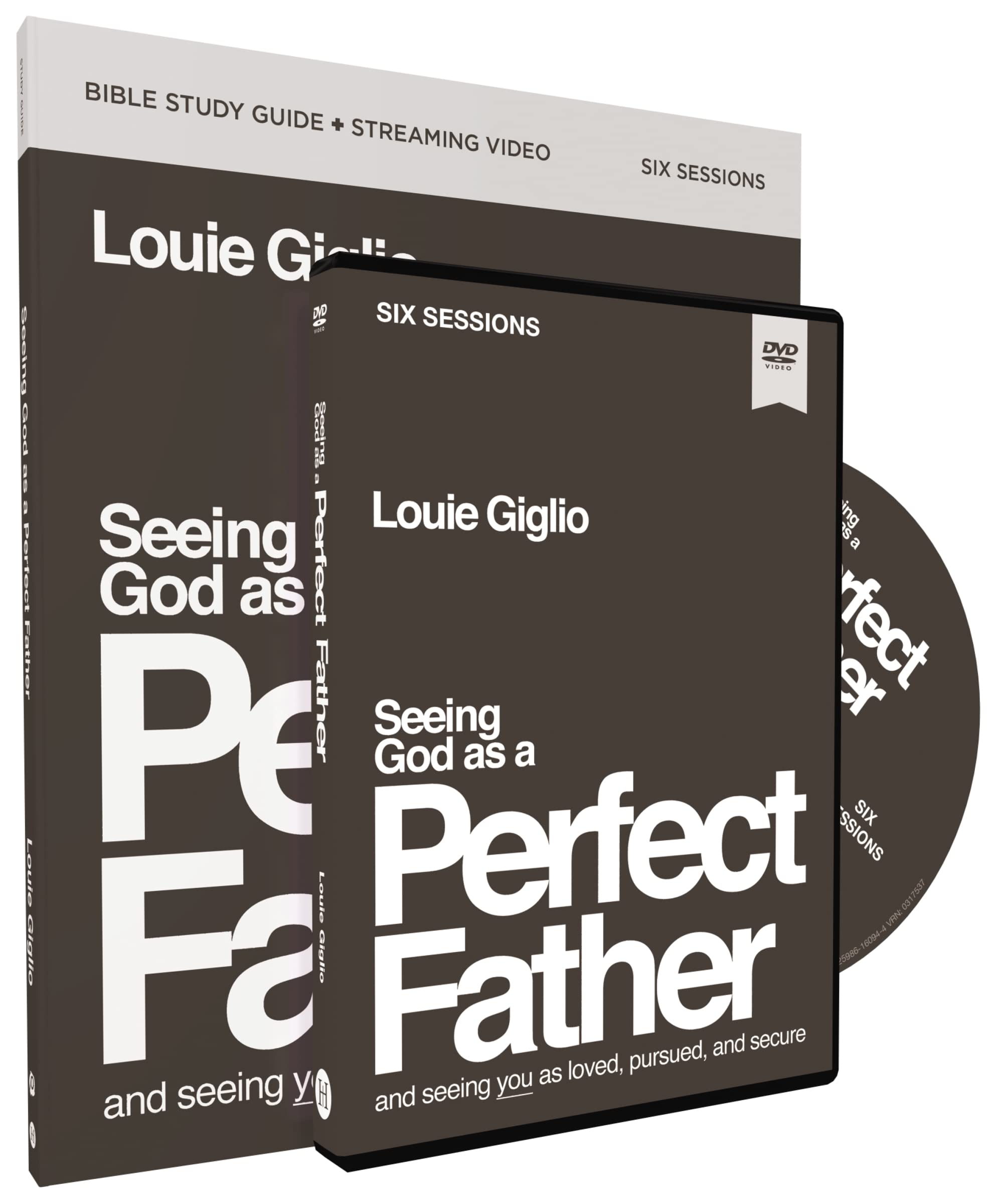 Seeing God As A Perfect Father Study Guide With Dvd: And Seeing You As Loved, Pursued, And Secure,Used