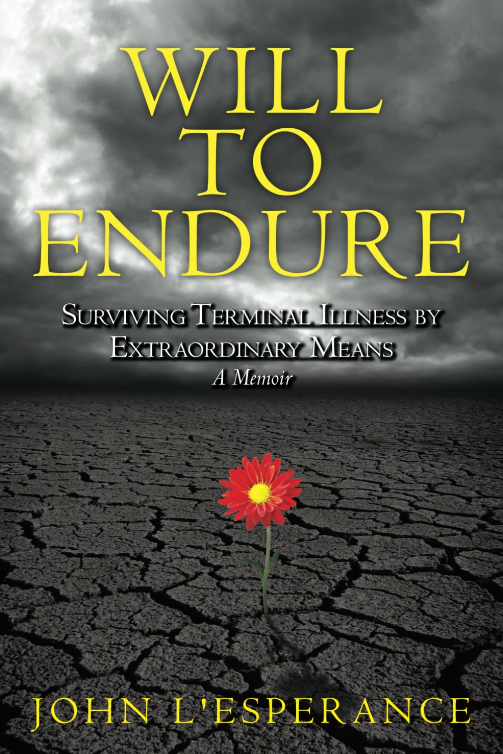 Will to Endure: Surviving Terminal Illness by Extraordinary Means...A Memoir,Used