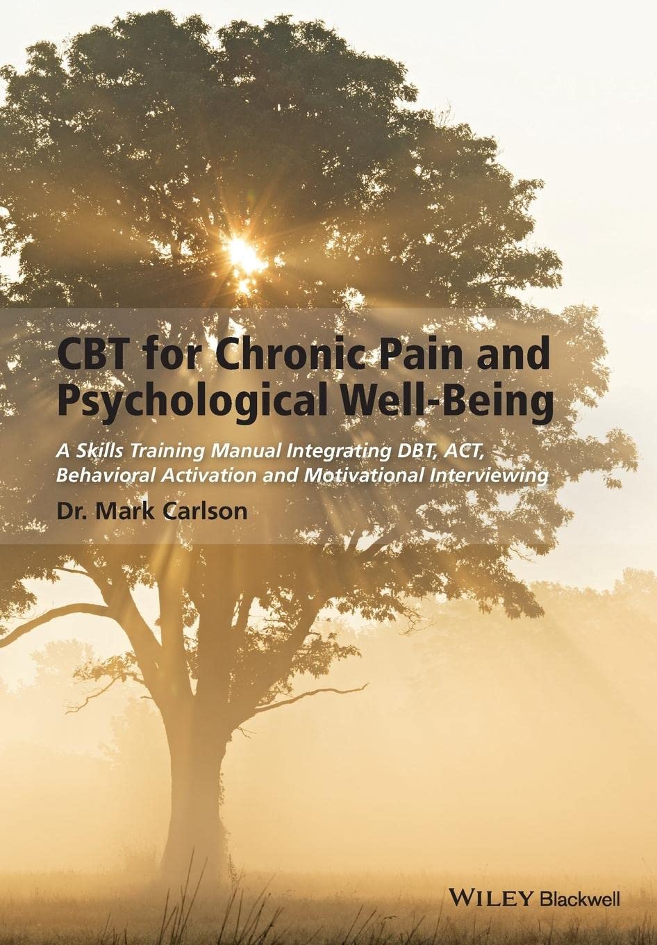 Cbt For Chronic Pain And Psychological Wellbeing: A Skills Training Manual Integrating Dbt, Act, Behavioral Activation And Moti