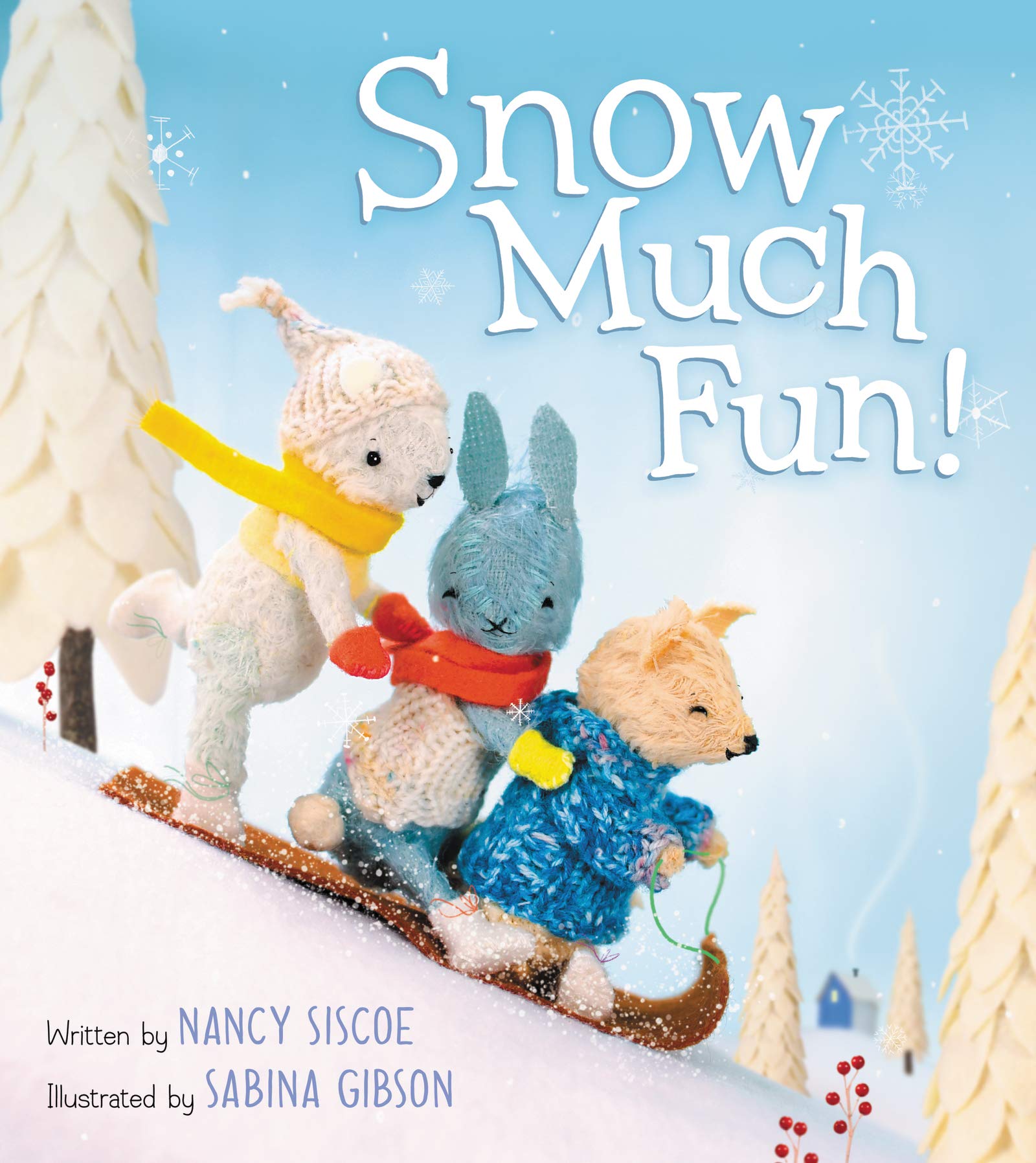 Snow Much Fun!: A Winter and Holiday Book for Kids,New
