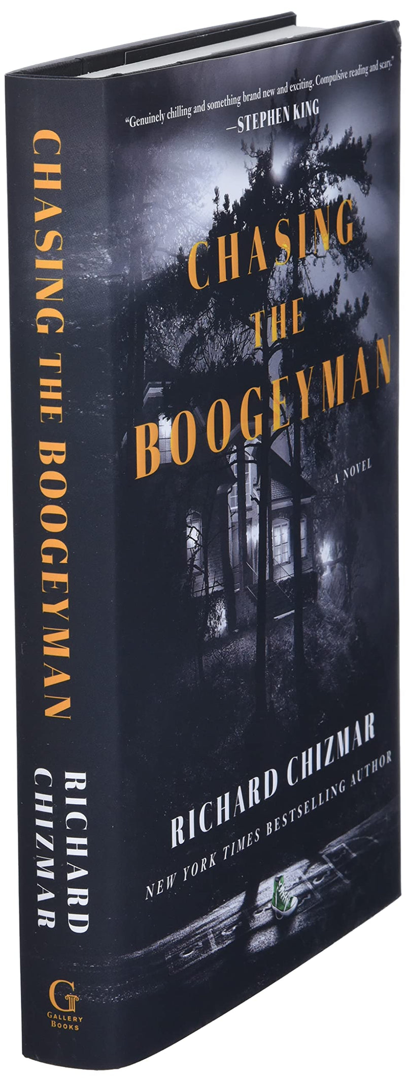 Chasing The Boogeyman: A Novel
