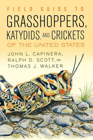 Field Guide To Grasshoppers, Katydids, And Crickets Of The United States,New