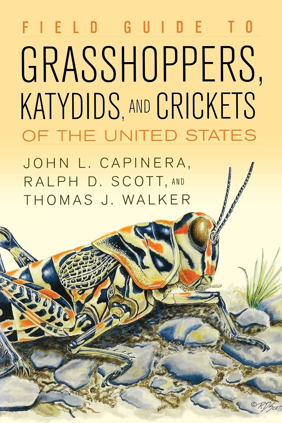 Field Guide To Grasshoppers, Katydids, And Crickets Of The United States,New