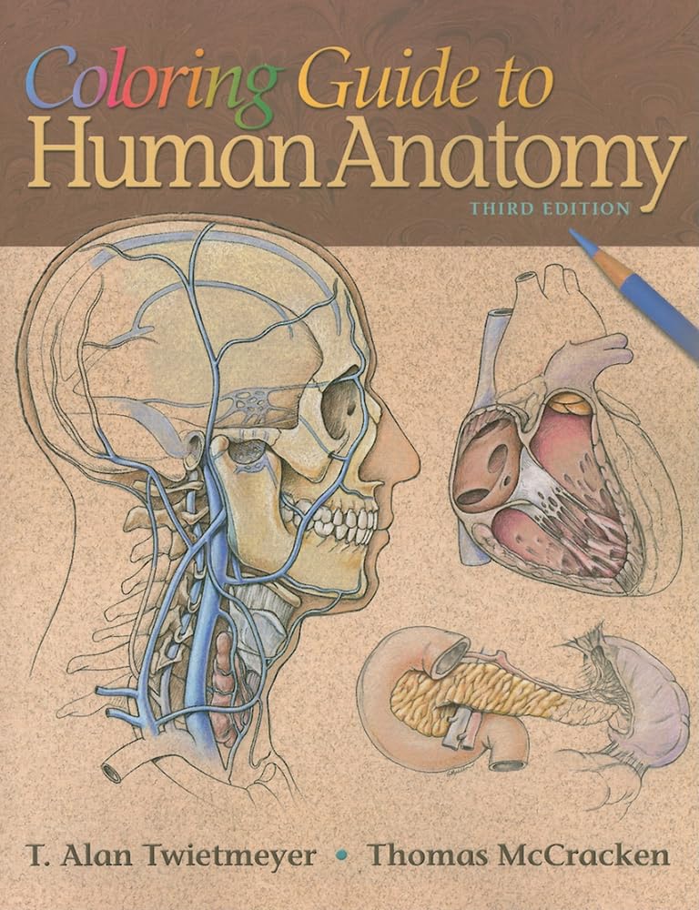 Coloring Guide to Human Anatomy,Used