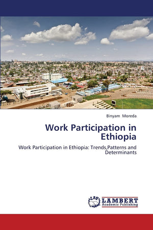 Work Participation in Ethiopia: Work Participation in Ethiopia: Trends,Patterns and Determinants,Used