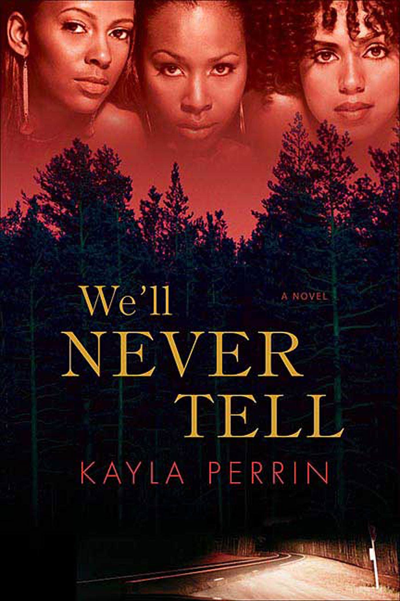 We'll Never Tell: A Novel,Used
