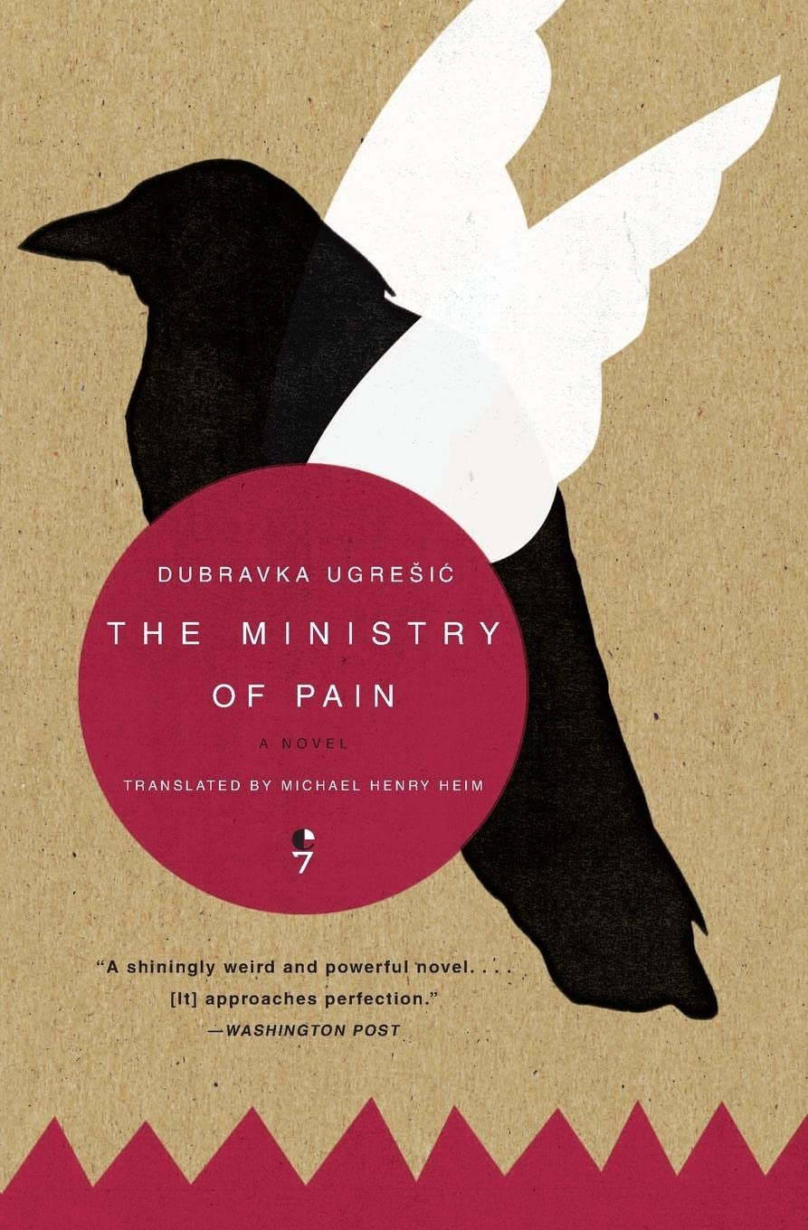 The Ministry Of Pain: A Novel